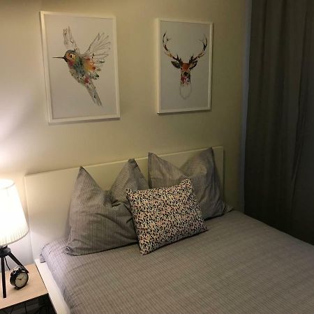 Apartament Bulwary Warty Śrem Exteriér fotografie
