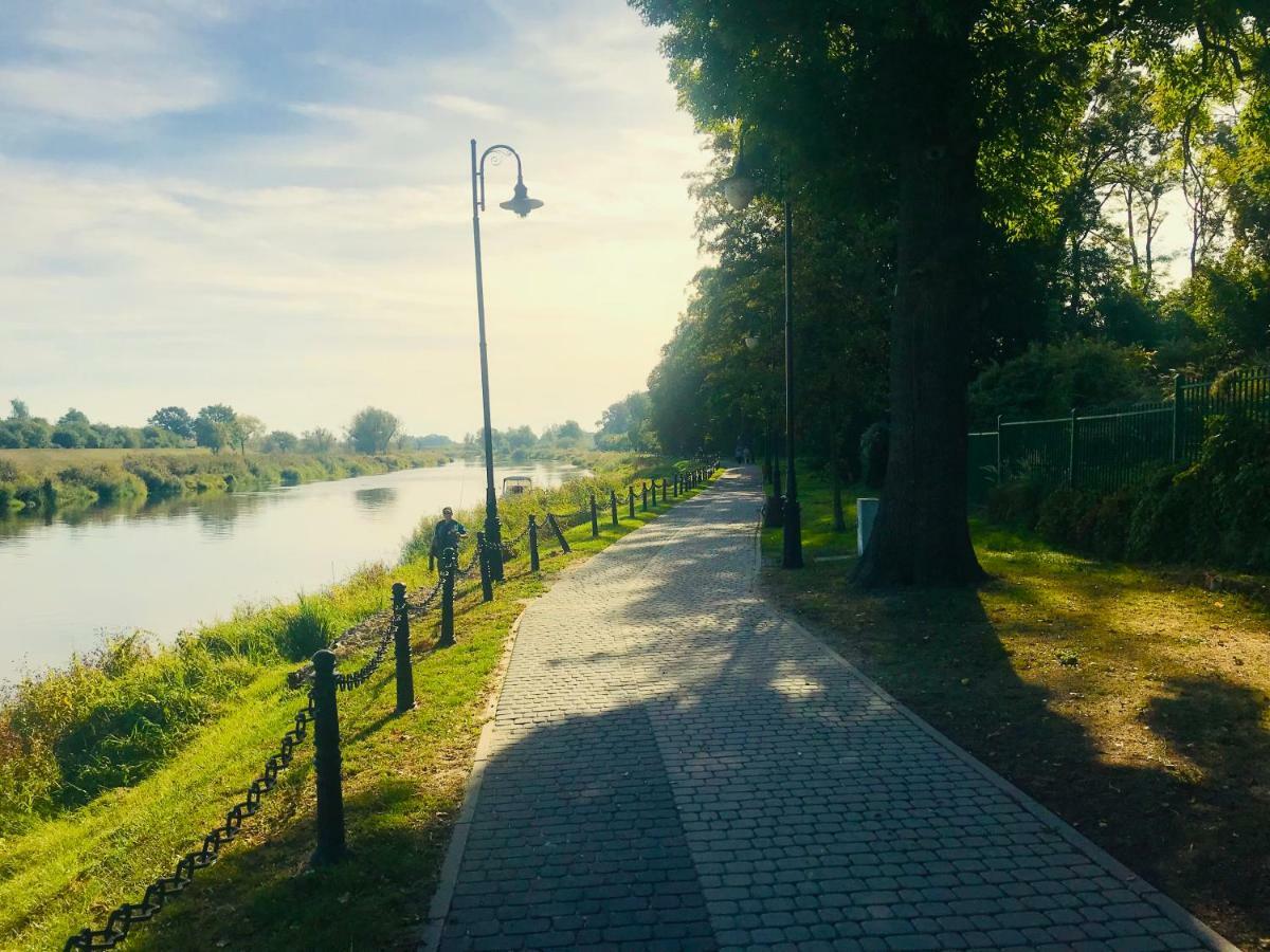 Apartament Bulwary Warty Śrem Exteriér fotografie